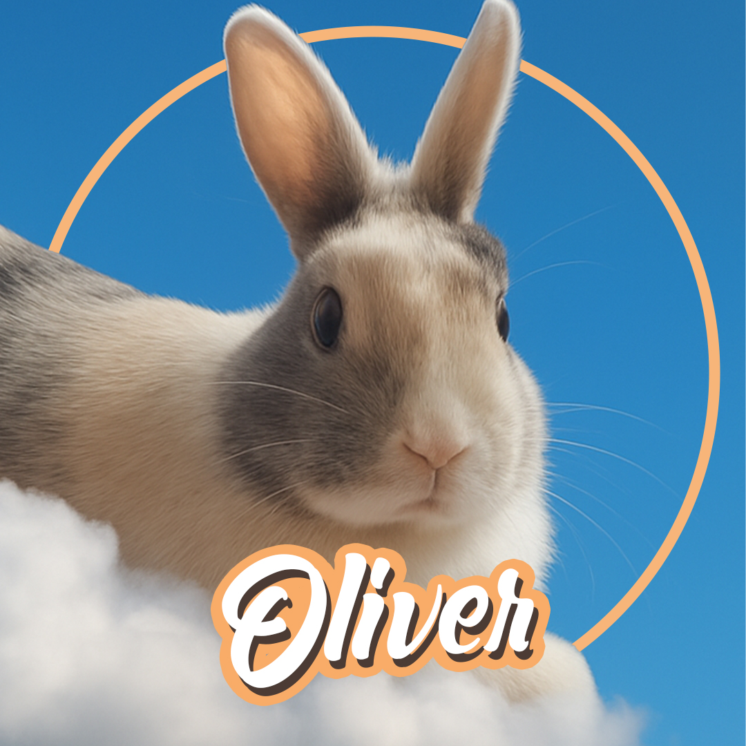 Hop With Oliver